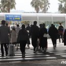 대신국제여행사 이미지