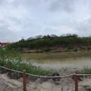 민통선산야초