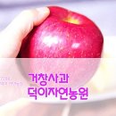 덕이자연농원
