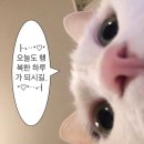 머슬팩토리24정촌점