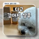 곱슬강아지 | 강아지 샴푸 추천 피부 진정부터 윤기까지 디고 에스테틱 사용 후기