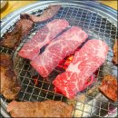 부엉이노래연습장 이미지