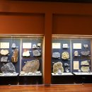 밀양대공원로 이미지