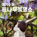 삼풍가든 이미지