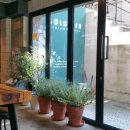 골드피쉬딤섬익스프레스 이미지