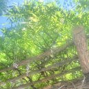 공학1관 이미지