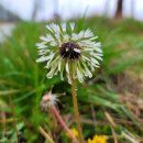 감노강변공원 이미지