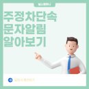 주정차 단속 - 001 이미지