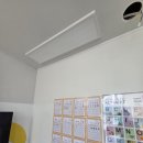 왕버들로 이미지