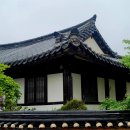 하회1리경로당 Daum카페