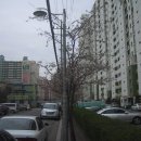 용산-308 이미지