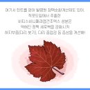 만성농장 이미지