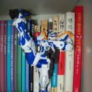 [MG] astray blue frame second revice 이미지