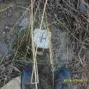 사일온천 이미지