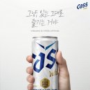 카스라인 이미지