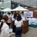 올영페스타 2025 오전 입장 내돈내산 솔직후기