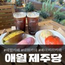 애월류가 | 애월 베이커리 대형 카페 &#39;제주당&#39; 후기, 사람 겁나 많구먼!