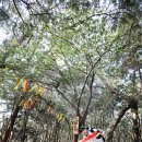 유람선길 이미지