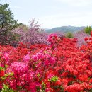 꽃동산