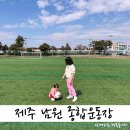 남원전천후게이트볼장 | 제주 아이랑 보름살기 남원 종합운동장 축구공 필수