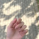 바이고미 네일