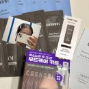 스마일브로우 | 코스노리 이지 브로우 무드 체인저 클라우드 토프 셀프눈썹염색 후기