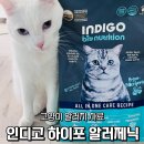 바이오컨설팅 & 신동물병원 | 고양이알러지사료 추천 – 인디고 유산균 인섹트 사료 리얼 리뷰