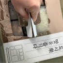 한솥도시락 경산사동점 | 경산 점심 도시락 6,000원 가성비 월도시락 대구 시지 사월 배달 후기