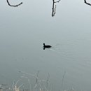 양서면 자전거 도로(두물머리길우측) | 나 혼자 양평 여행