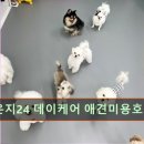 멍라운지24 데이케어 애견미용호텔 애견카페 인천점 네이버블로그