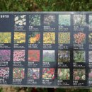 당현천산책로 이미지