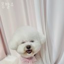 몽발관 이미지