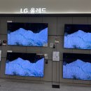 금성사 | 금성사 창립 67주년 기념 LG전자 베스트샵 동래본점 고객 감사 이벤트