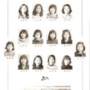 배상선농장 Daum카페