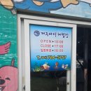 제주아이랑가볼만한곳 : [제주바다체험장] 상어 먹이주기,문어잡기 대성공!