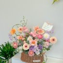 아뜰리에 몽 이미지