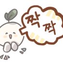 씨존만화학원
