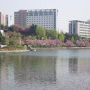 건국대학교 이미지