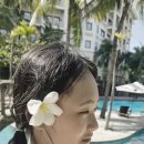 야자수 나라에서 만난 우리 | 아이들과 다낭 2일차｜호이안 솔직 후기