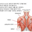 짐 오늘 이미지