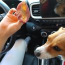 해남베스트펜션 이미지