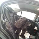 만수동물병원 이미지