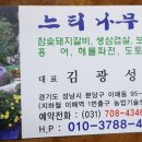 느티나무공인중개사사무소 이미지