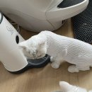 백제동물병원 이미지