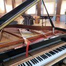 샤론팰리스 이미지