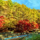 봉학골산림욕장 이미지