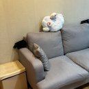 골드스킨앤바디