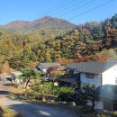 물맑은펜션 이미지