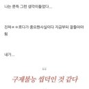 카페 파라 이미지