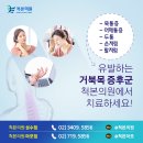 더손 정형외과의원 이미지